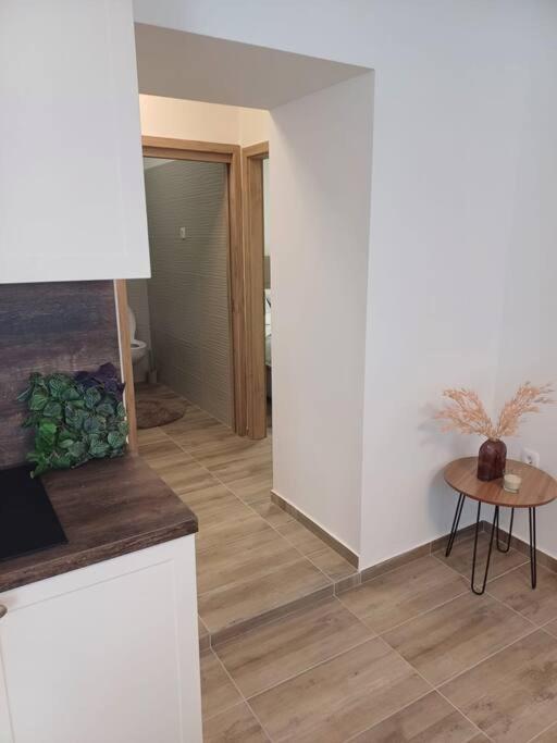 Central Vita Apartment Fiume Kültér fotó
